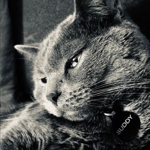 Meet your Posher, Christina